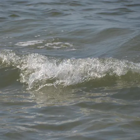 Birkenstr_21 C _strandtraum_ * Zingst